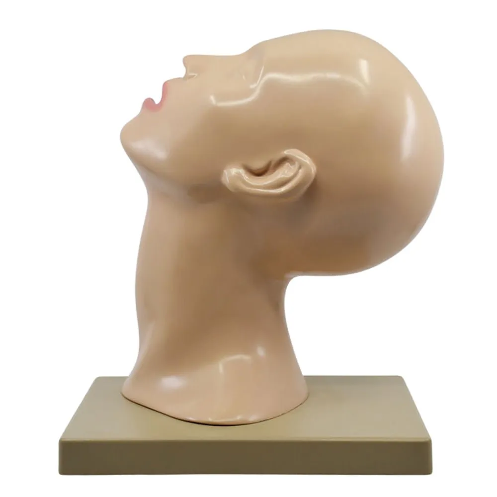 Nasal Swab Training Model, 12 Inch - For Demonstration of Nasopharyngeal Testing - Made of PVC