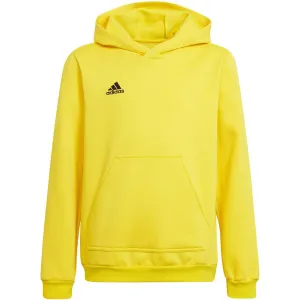 Sweatshirt For Kids Adidas Entrada 22 Hoody Yellow Hi2142 140Cm